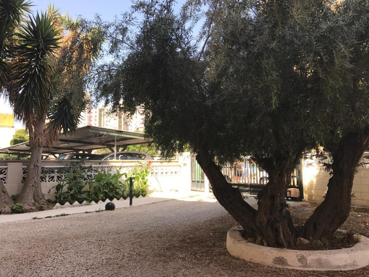 Apartamento En La Playa - Alicante, Costa Blanca - Los Olivos Ngoại thất bức ảnh